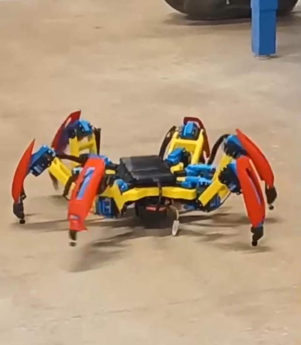 Autonomous Hexapod Project